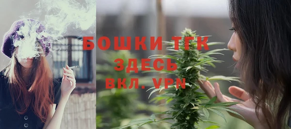 мет Алексин