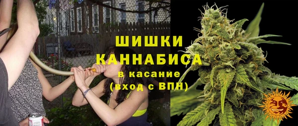 шишки Алексеевка