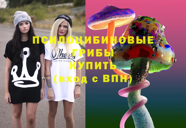шишки Алексеевка