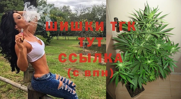 шишки Алексеевка