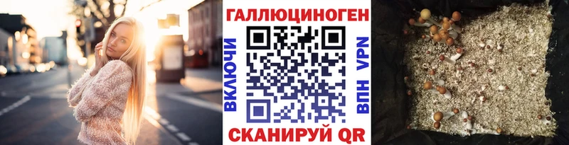 Псилоцибиновые грибы мицелий Калтан